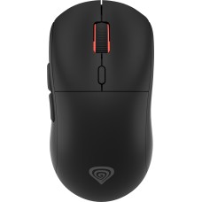 Genesis Zircon XIII