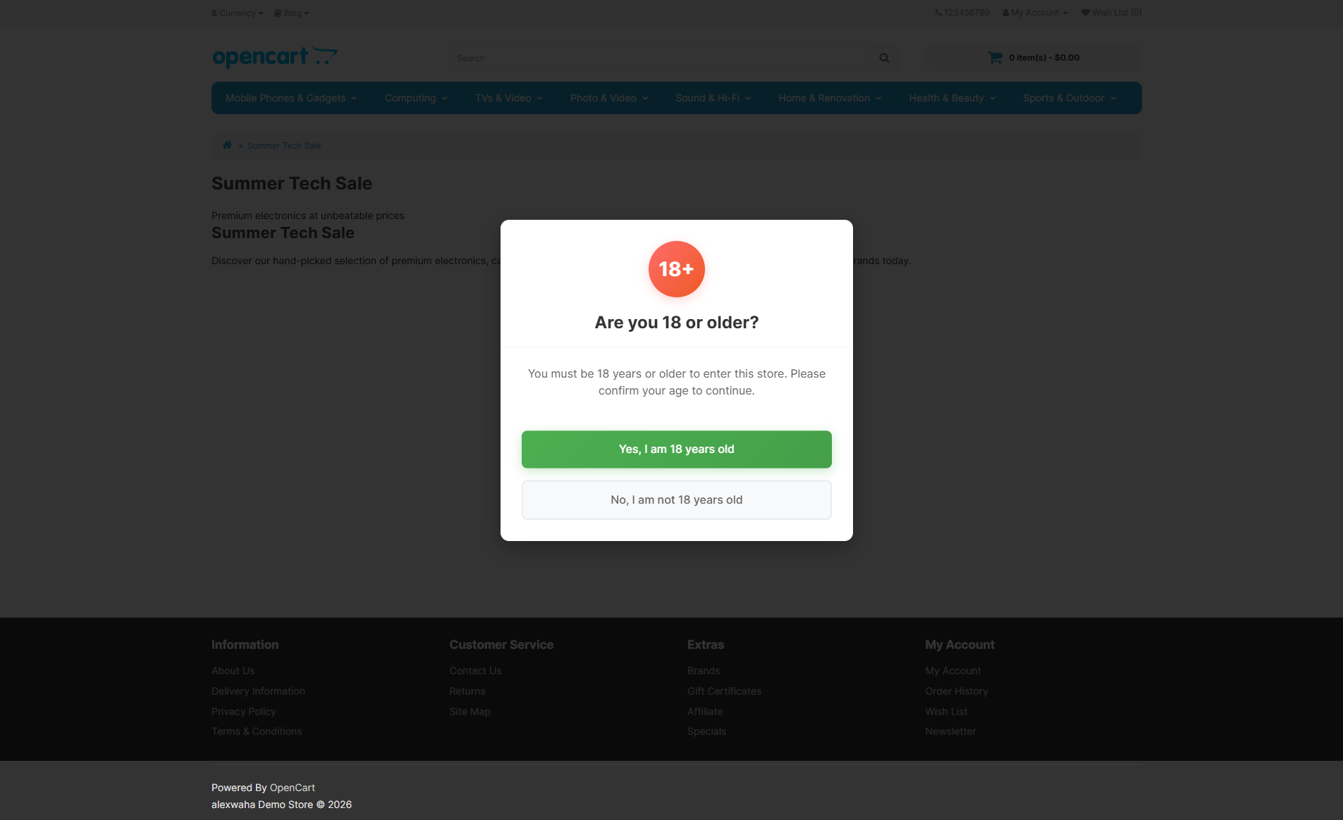 Landing page displayed on the storefront